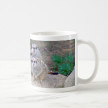 4 Meerkats Peering Mug