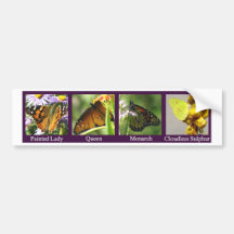 4Butterflies-PL-Q-Mon-Sul Bumper Sticker