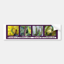 4CaterpillarBumperSticker Bumper Sticker