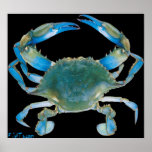 4ft. BlueCrab Poster