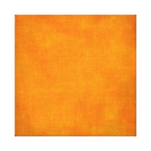5451_sports ORANGE POPSICLE TEXTURE BACKGROUND TEM Stretched Canvas Prints