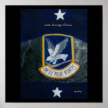 55th Security Forces Print
