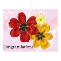 5 Congratulations Post Cards