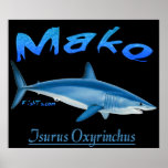 5Ft. Mako Poster
