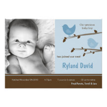5x7 Baby Boy Blue Birdsl Photo Birth Announcement