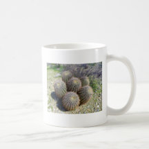 6 Barrel Cactus Mugs