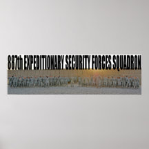 887th ESFS Posters