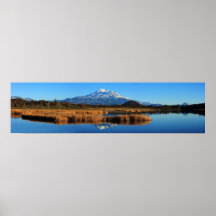 88B MT SHASTA AND GOLDEN TULES (12X46) PRINT