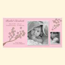 8x4 Branch Design Birth Announcement Pink/Brown photo cards