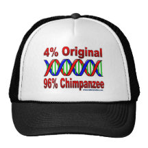 96% chimp hat