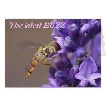 A001- The Buzz - Greeting Card
