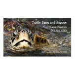 A015 BIZ - Turtle Farms and Rescue Business Cards
