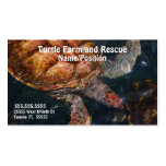 A020 BIZ - Turtle Farms and Rescue Business Card Template