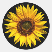 A Big Yellow Sunflower Stickers