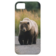 A Brown Bear Walking on a Trail iPhone 5 Case