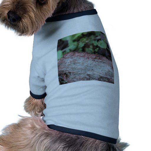 A Bump on a log Pet Tshirt