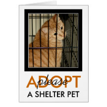 "A Cage is No Life" Greeting Cards