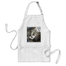 a cat schürzen
