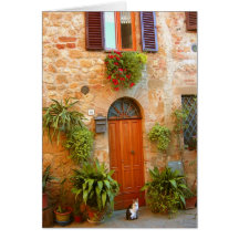 A cat seeks entrance to home in Pienza, Italy. Cards