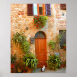 A cat seeks entrance to home in Pienza, Italy. Posters