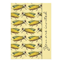 A Crowd of Katydids Announcements