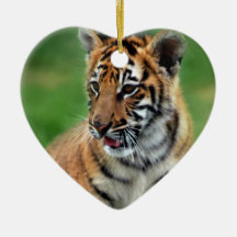 A cute baby tiger ornament