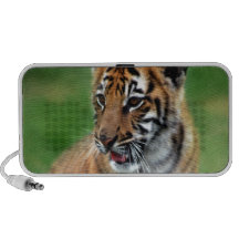 A cute baby tiger portable speakers