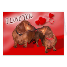 A dachsund Valentines Day Cards