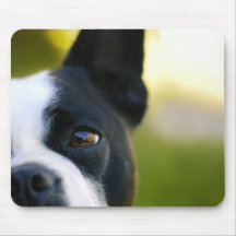 A Dog's View Mousepad