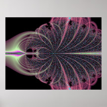 A Feathered Plume2 Framed Print