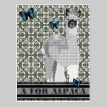A For Alpaca  Postcard postcards