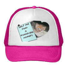 A Forever Home... Mesh Hats
