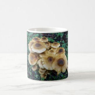 A Funky fungi mug to go with breakfast