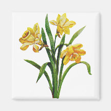 A Golden Host of Embroidered Daffodils Fridge Magnet