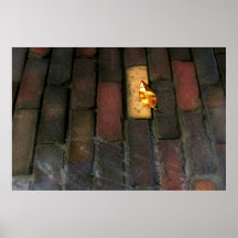 A Golden Leaf Posters