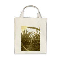 A "green" bag for your greens