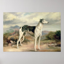 A Greyhound in a hilly landscape Posters