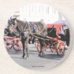 A Horse in Rome Coaster