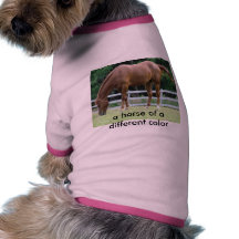 a horse of a different colour pet t-shirt