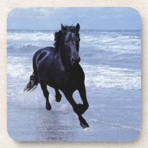 A horse wild and free beverage coaster