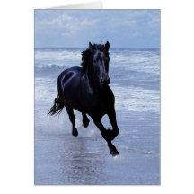A horse wild and free cards