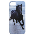 A horse wild and free iPhone 5 case