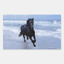 A horse wild and free rectangular stickers