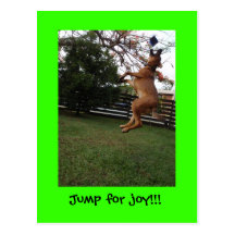 A jump for joy!! postcard