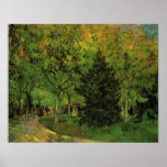 A Lane in the Public Garden at Arles posters