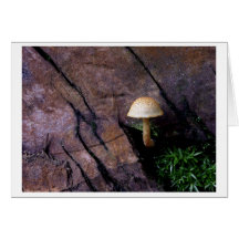 a little green greeting cards