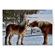 A Little Horse Talk Card