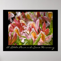 A Little Peace & Some Harmony art prints Rhodies
