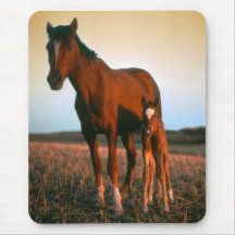 A mare and her foal mouse pad