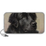 A Newfoundland Speaker